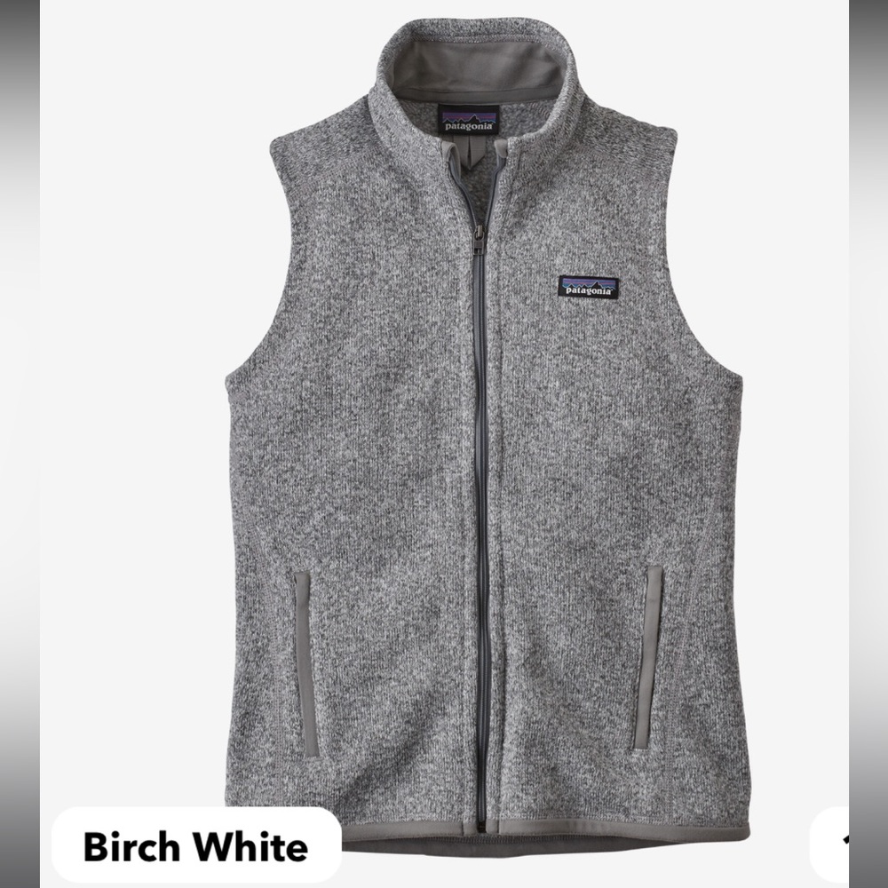 Patagonia Gray Fleece Vest